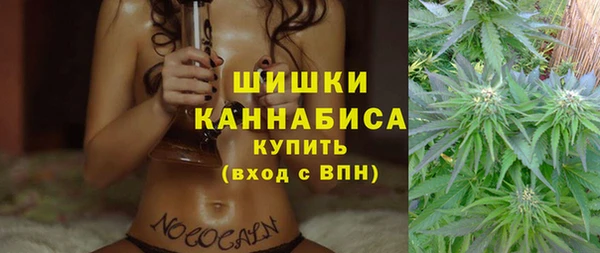 дурь Нея