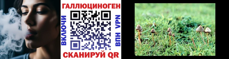 Галлюциногенные грибы Cubensis Нерехта